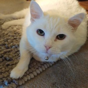 Meet your Posher, Bonnie